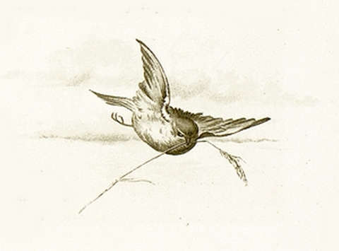 john-lawson-detail-1.jpg