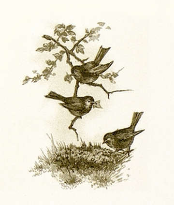 john-lawson-vignette-4.jpg